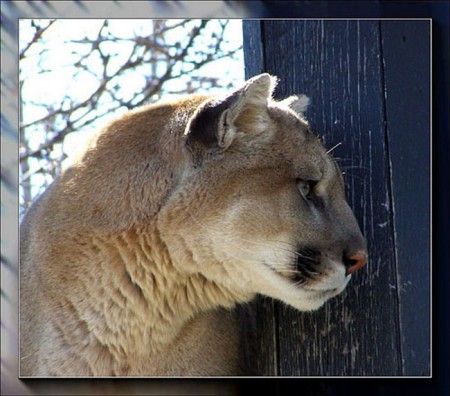 This is my good side